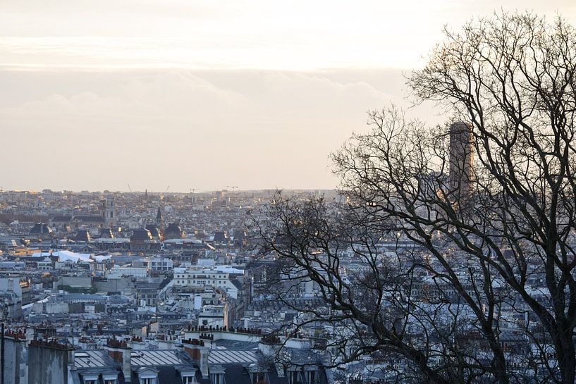 View over Paris by Esmée van Eijk