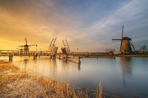 Wereld erfgoed Kinderdijk