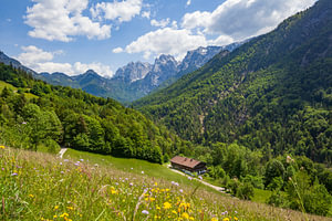 Kaisertal mit Blumenwiese und Ellmauer Halt,  Kaisergebirge, Tir