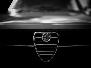 Alfa Romeo van Maikel Brands