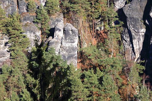 La région des grès de l'Elbe en hiver