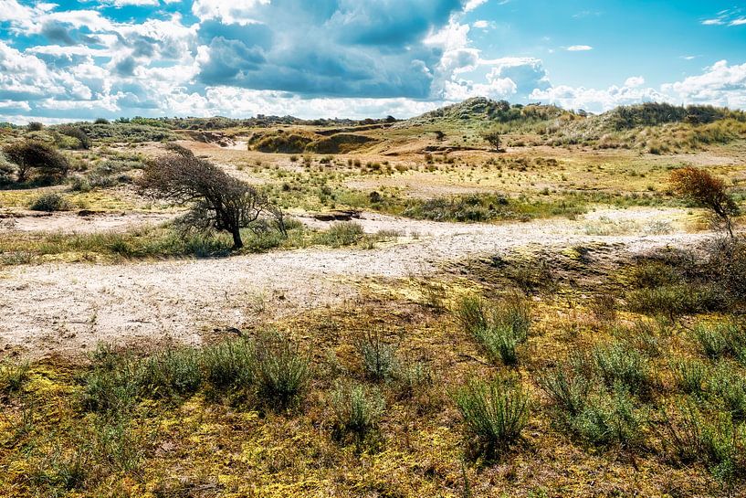Duinen in het landschap tijdens de herfst van eric van der eijk