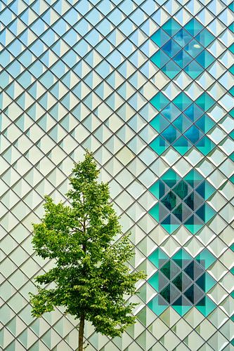 Junge Natur und moderne Architektur in Berlin