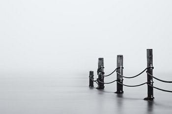 „Het Kuitje“: Minimalistische Holzpfähle in einer nebligen, ruhigen Szenerie