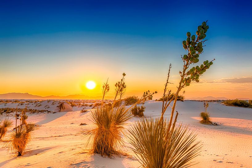 White Sands Sunset by Melanie Viola