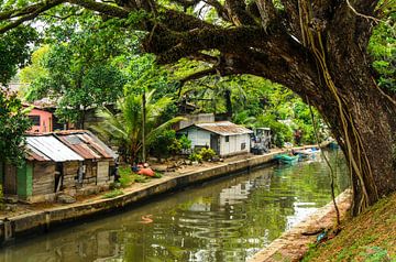 Hamilton Canal with cottages in Negombo Sri Lanka by Dieter Walther