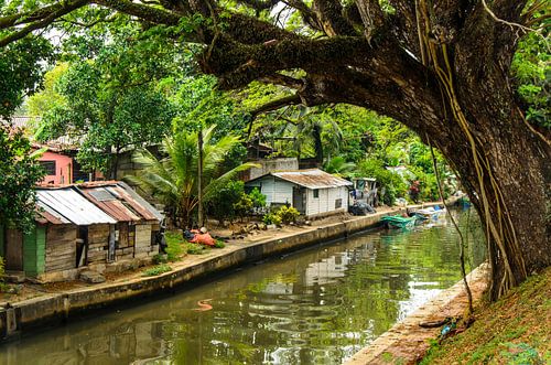 Hamilton kanaal met huisjes in Negombo Sri Lanka