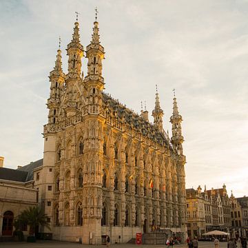 Stadhuis van Leuven tijdens het gouden uur van Paul Oosterlaak