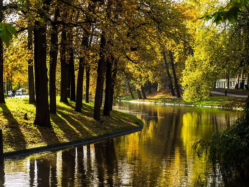 Les arbres dorés de l'automne par Mr White Takes Pictures
