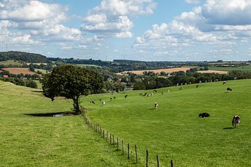 Heuvelland Zuid-Limburg, glooiend lieflijk landschap, vakantieland in Nederland. van Marjolein Zijlstra