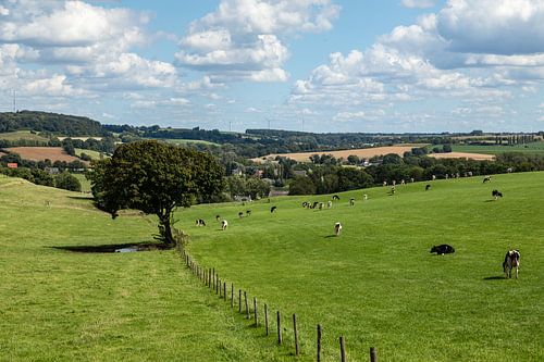 Heuvelland Zuid-Limburg, glooiend lieflijk landschap, vakantieland in Nederland.