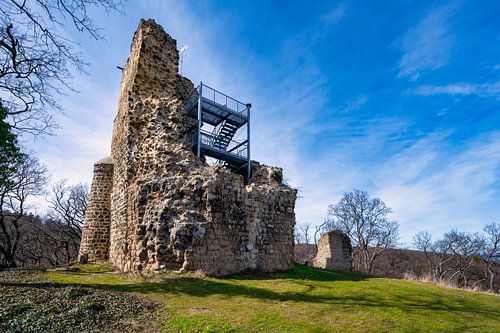 Uitzicht op de ruïnes van kasteel Lauenburg in het Harzgebergte