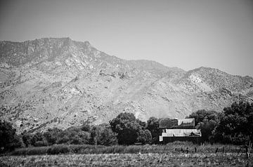 Kern River Preserve von Arjen van de Belt