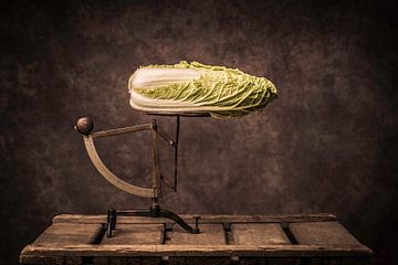 Chinese cabbage by Geert-Jan Timmermans