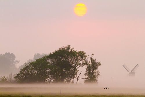 Polder landschap in de mist met opkomende zon
