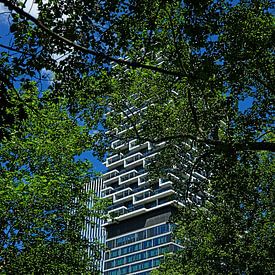 Frankfurter Architektur von Thomas Riess