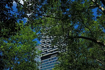 Architecture de Francfort sur Thomas Riess
