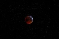 Bloedmaan met sterren