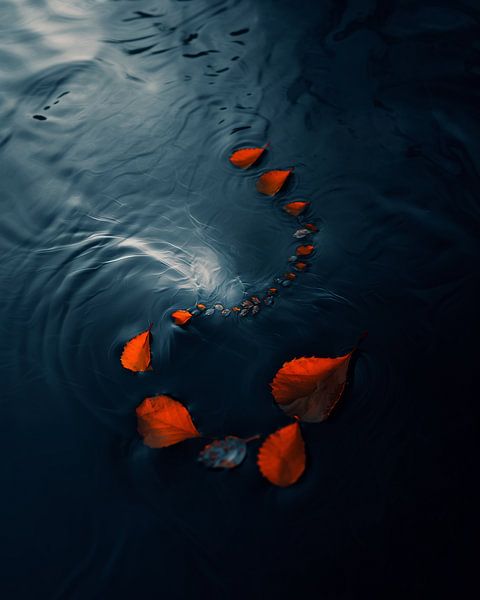 Meer trifft Laub von fernlichtsicht