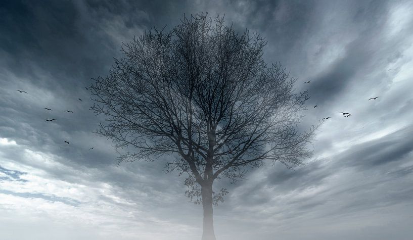 0482 Morning van Adrien Hendrickx