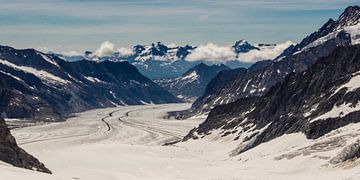 panorama Aletsch gletsjer gezien van de Jungfraujoch van Peter Moerman