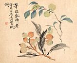 Tsubaki Chinzan.Loquat-Baum von Japan von 1000 Schilderijen Miniaturansicht