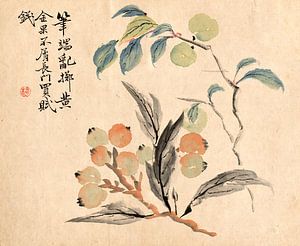 Tsubaki Chinzan. Loquat Tree of Japan
