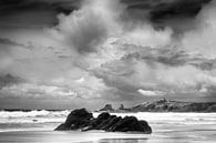 Cote Sauvage #3 van Willy Lippens thumbnail