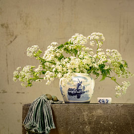 Cow parsley in shades of beige.