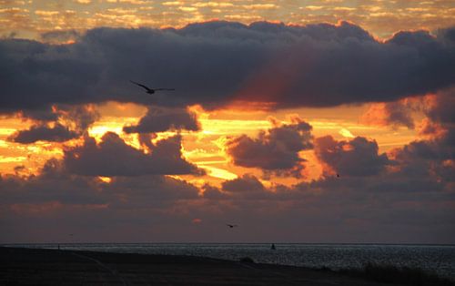 Texel Zeezicht 029