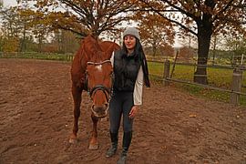 Training with the bay Oldenburg mare on a riding arena