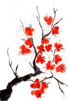 Orange flowers