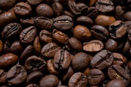 Koffiebonen van Doortje Kwakkel