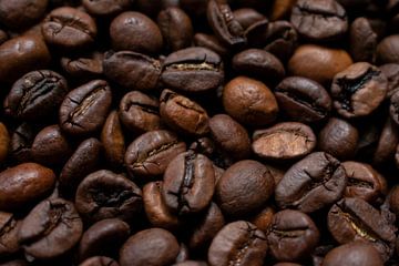 Koffiebonen van Doortje Kwakkel