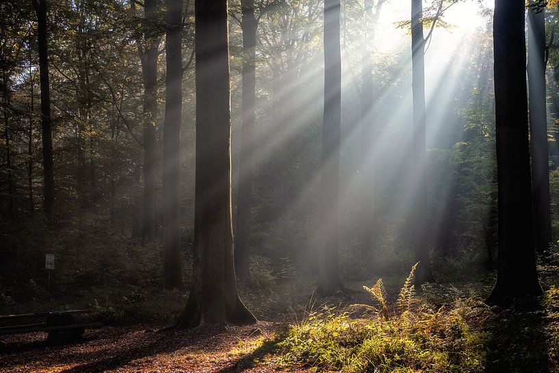 Herfst 2018 deel 6 von Bart Ceuppens