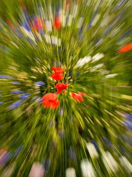 Bloemenexplosie 2 van Rien de Hoop