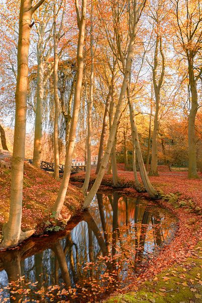 L'automne en Frise 7. Staniastate à Oentsjerk par Marcel Kieffer
