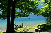 A Place to Linger by Thomas Zacharias thumbnail