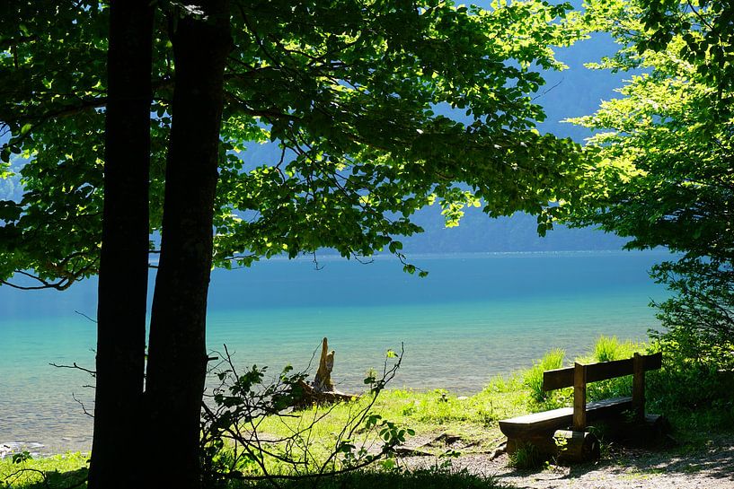A Place to Linger by Thomas Zacharias