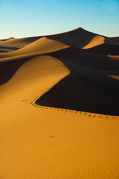 voetstappen in het zand, woestijn Marokko van Jan Fritz