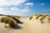 Dunes sur la côte néerlandaise par Michel van Kooten Aperçu
