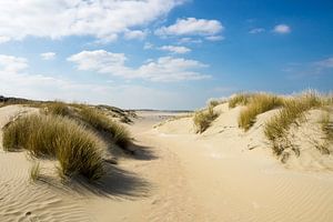Dunes on the Dutch coast