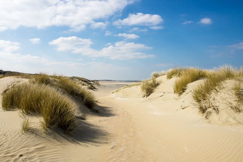 Dunes sur la côte néerlandaise par Michel van Kooten