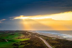 Schafe im Sonnenuntergang auf dem Golfplatz von Domburg