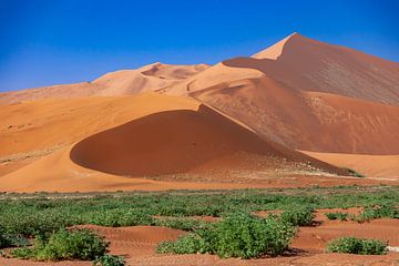 Dünen von Sossusvlei in Namibia