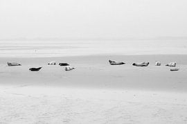 Row in the sea by Studio Nikki