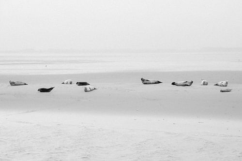 Rudern auf dem Meer