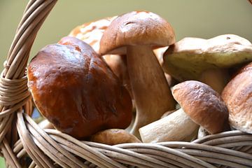Porcini mushrooms in a basket by Heiko Kueverling