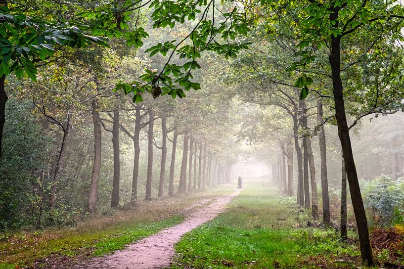 Breda Liesbos in the fog by Egon Zitter
