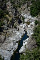 A person swimming in a river